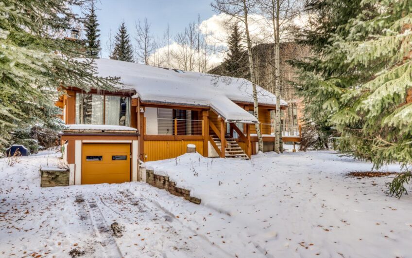 Black Bear Vacation Home in Vail